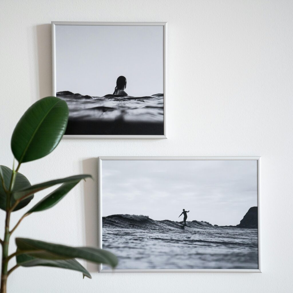 Elegant black and white framed photos on a white wall with a green plant for modern interior decor.